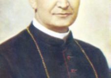 matulewicz